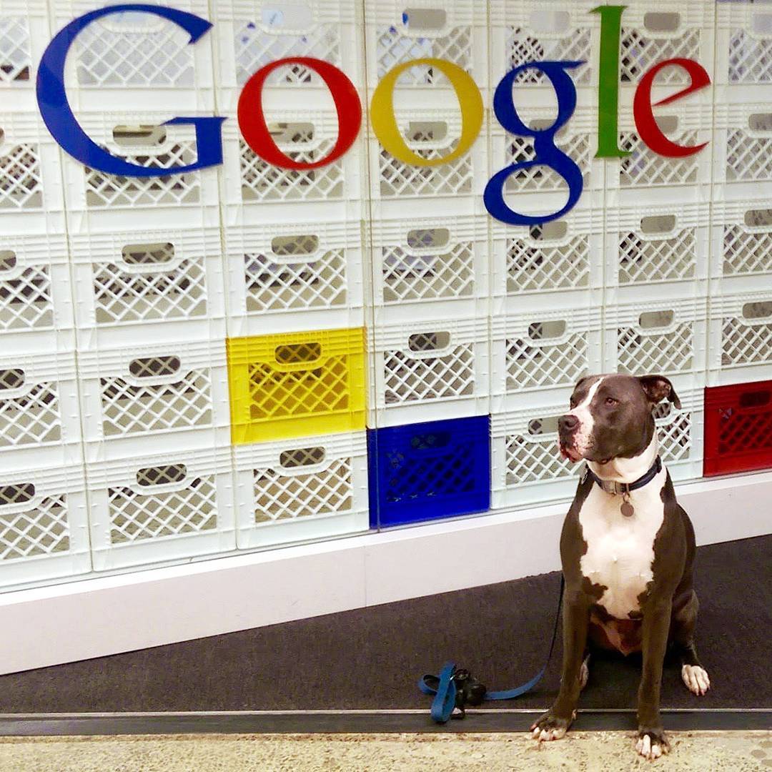 Google’dan Para Kazanma: Google Adsense Nedir – Nasıl Çalışır